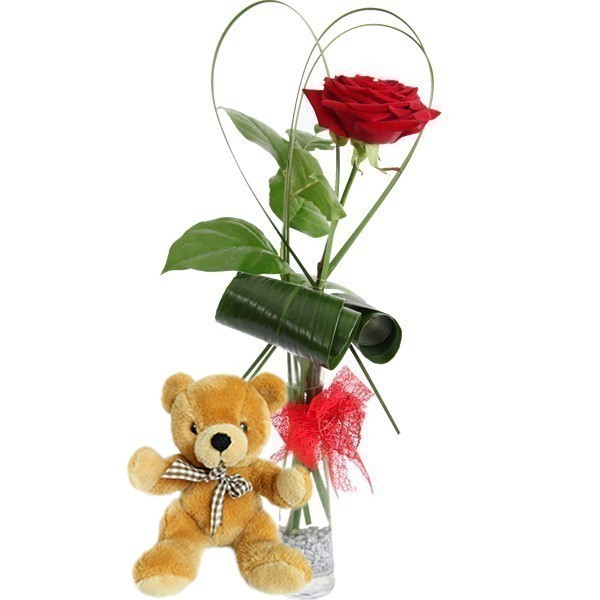 red roses and teddy bear